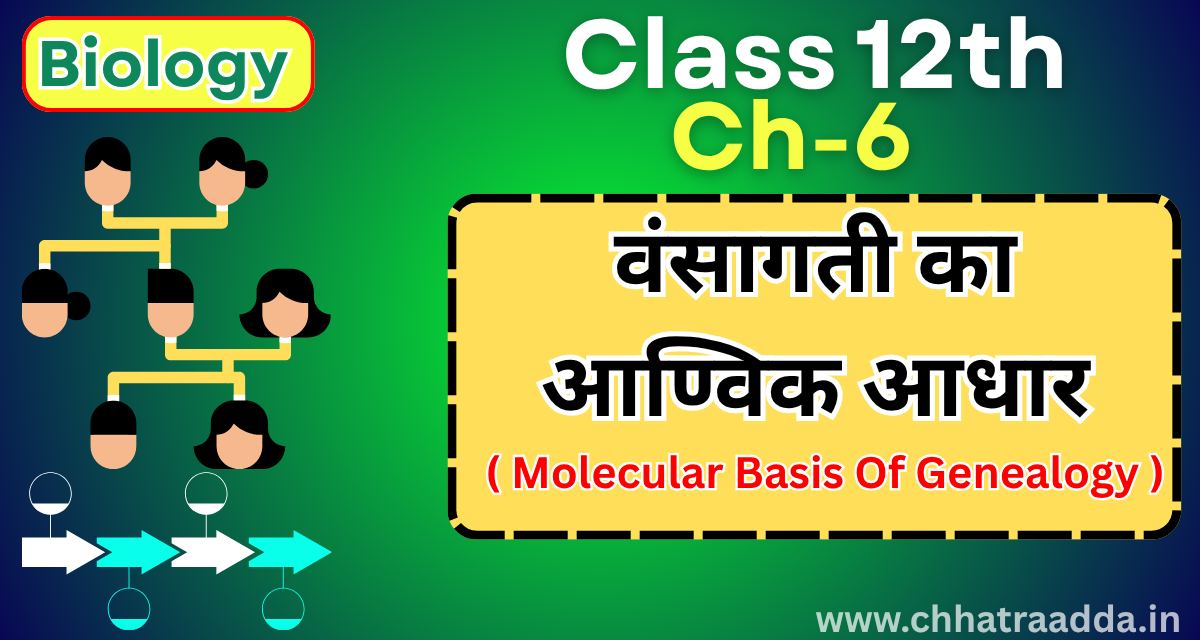 Class 12 Biology Chapter 6 " वंसागती का आण्विक आधार " Objectives & Subjectives Revision One Shot