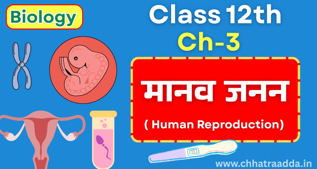 human reproduction class 12,मानव जनन पूरा चैप्टर 2026