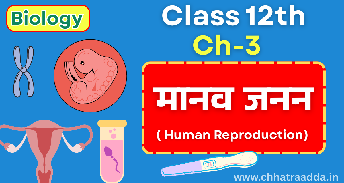 human reproduction ncert, reproduction in humans, human reproduction class 12,