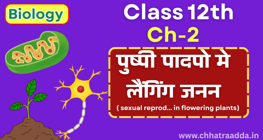 biology class 12 chapter 2 one shot bihar board, पुष्पी पादपों में लैंगिक जनन